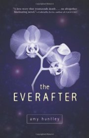 Capa do livor - The Everafter