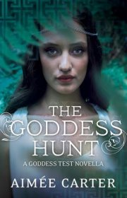 Capa do livro - Série Goddess Test 01.5 - The Goddess Hunt